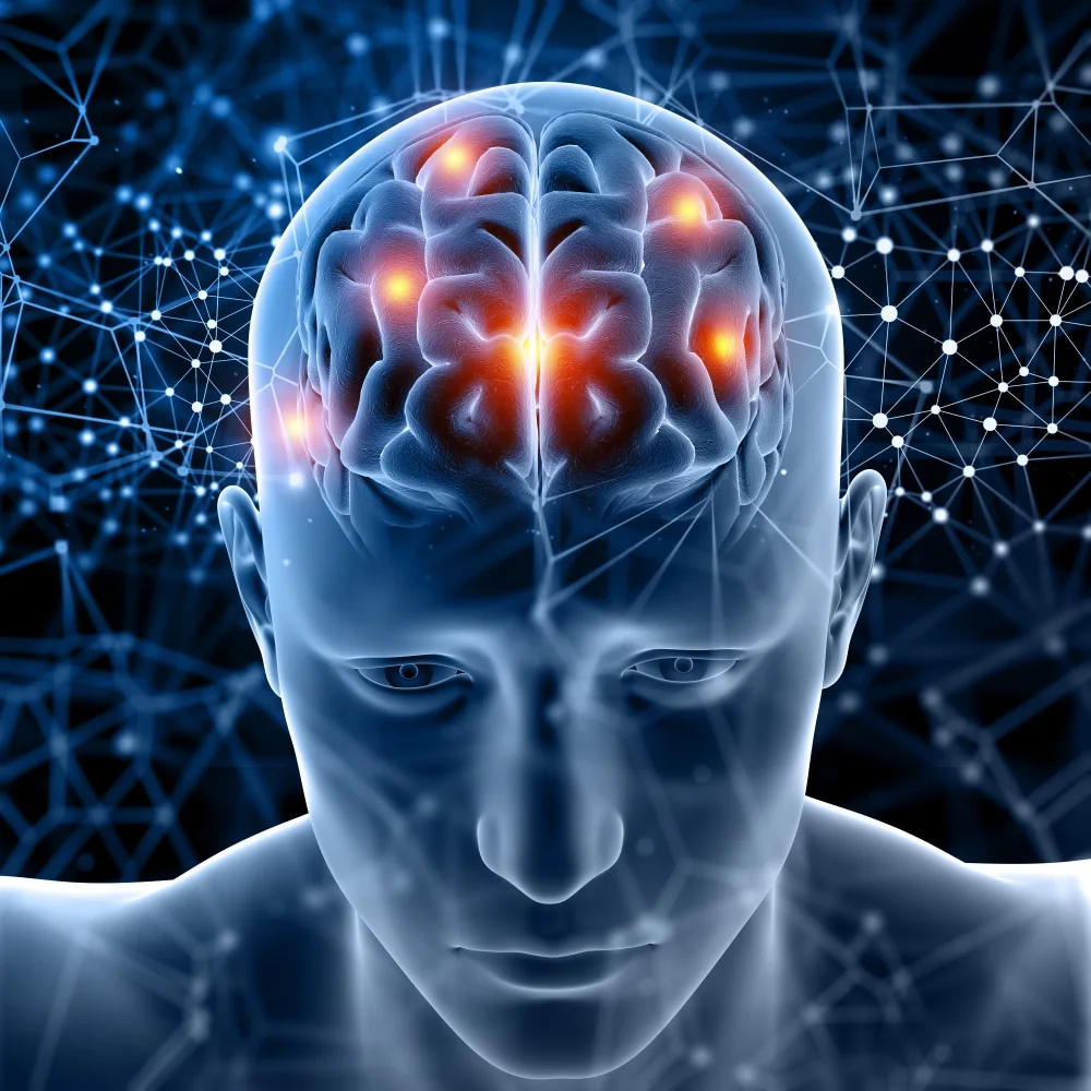 3D illustration of a human head with active brain regions highlighted, representing neural support